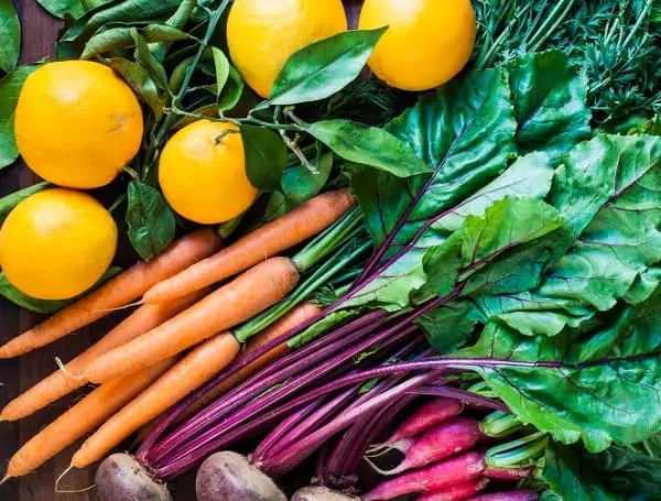 Tampa Traffic Alert: Water Main Break Forces Full Closure Of South Himes Avenue