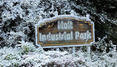 Small part of Sunshine State becomes Snowy State as Florida gets snow second year in a row – Orlando Sentinel