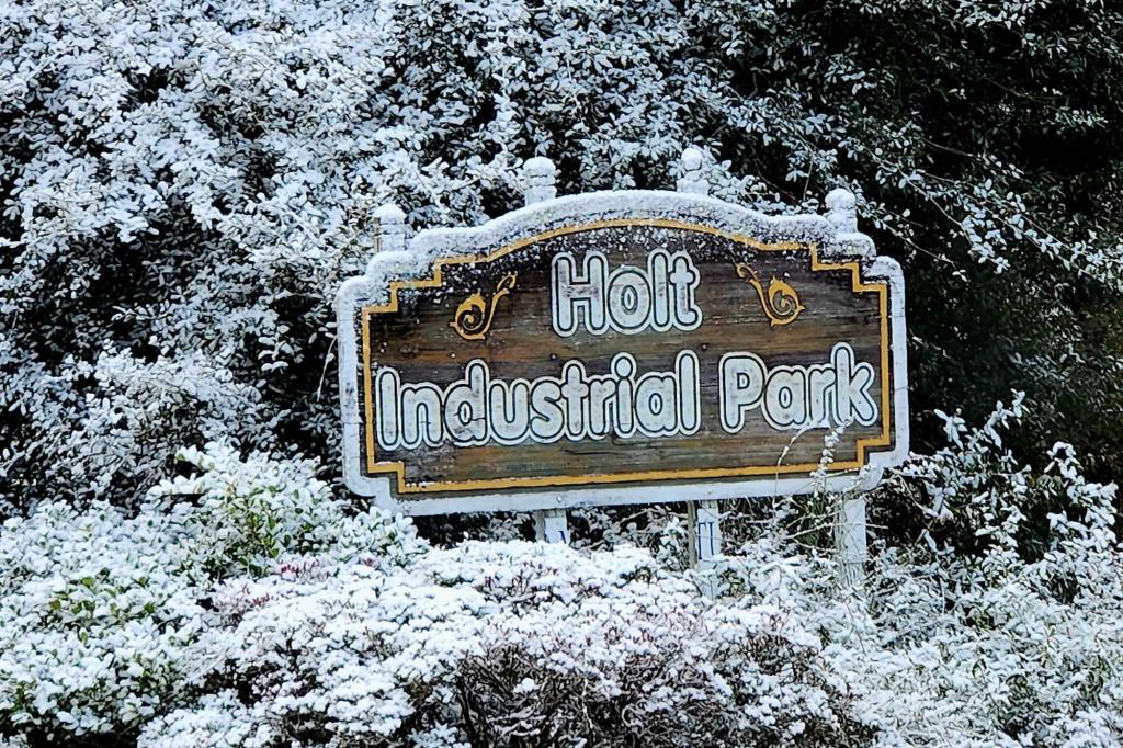 Small part of Sunshine State becomes Snowy State as Florida gets snow second year in a row – Orlando Sentinel