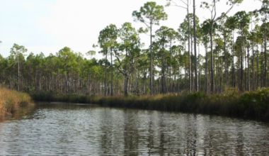 Hell can be found here in Florida. But it’s not what you think