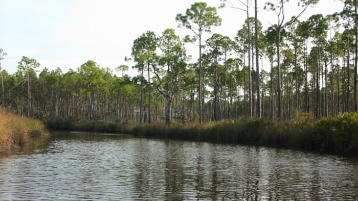 Hell can be found here in Florida. But it’s not what you think