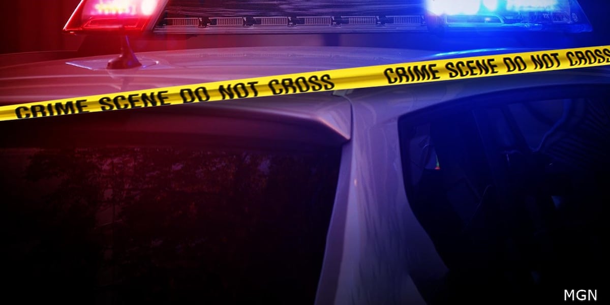 Shooting investigation underway on Ballard Road, Leon County Sheriff’s Office says