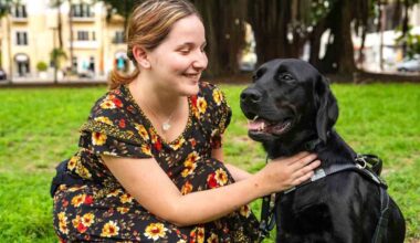 Clarity Hearing to raise funds for Dogs Inc.