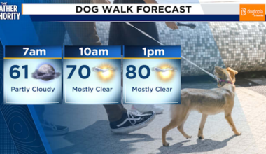 Record-breaking highs possible on Saturday before winter returns in Northeast Florida, Southeast Georgia