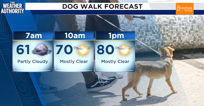 Record-breaking highs possible on Saturday before winter returns in Northeast Florida, Southeast Georgia