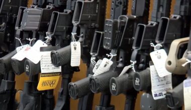 Florida House passes bill to lower minimum age for rifle purchases from 21 to 18