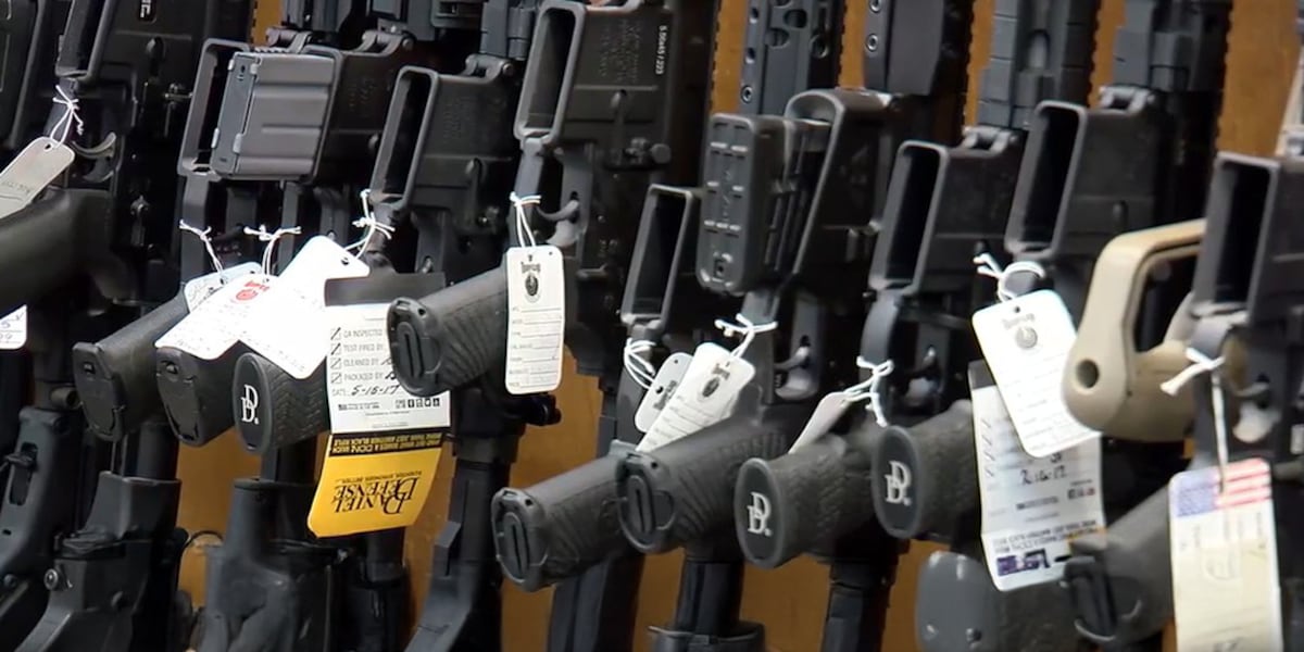 Florida House passes bill to lower minimum age for rifle purchases from 21 to 18