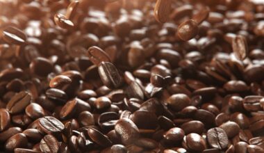 Bones Coffee Expands in Cape Coral, Creating 130 Jobs With $2.73M Incentive Package