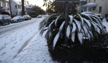 Is It Going To Snow in the Tampa Bay Area This Weekend? Here's the Latest Update