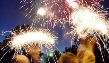 Mass. issues cease-and-desist to Florida fireworks company after Swiss bar fire