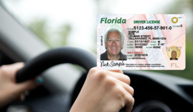 Proposed changes to driver’s licenses could affect some Florida residents. What to know – NBC 6 South Florida