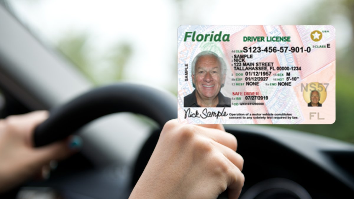 Proposed changes to driver’s licenses could affect some Florida residents. What to know – NBC 6 South Florida