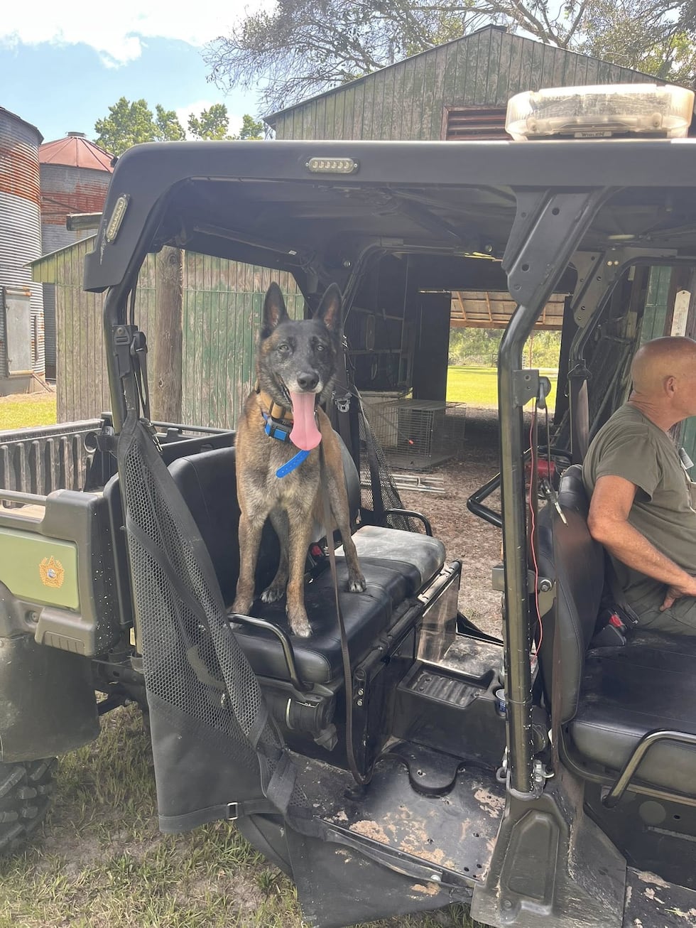 The team includes K9 handlers, drone operators, dive teams, ground search crews, and even a...