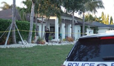 Teen gets home from school to find 4-year-old brother stabbed to death, police say