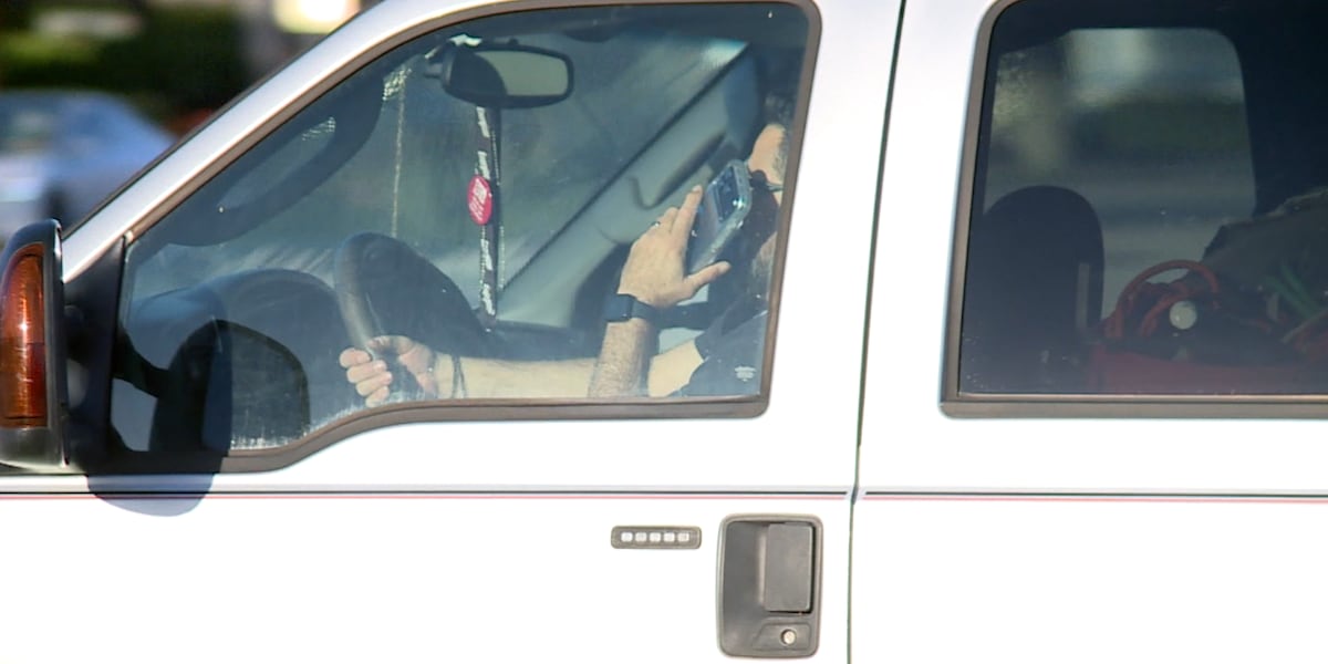 Florida bill would ban drivers from holding wireless devices