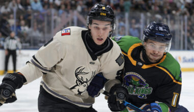 PHOTOS: Iowa Heartlanders vs. Jacksonville Icemen - 01/24/2026