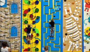 Reach New Heights This Spring and Summer With High Point Climbing Camps in Orlando