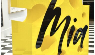 CURATOR’S DESK Invites you! MIA CHEESE by F V T Takes Center Stage