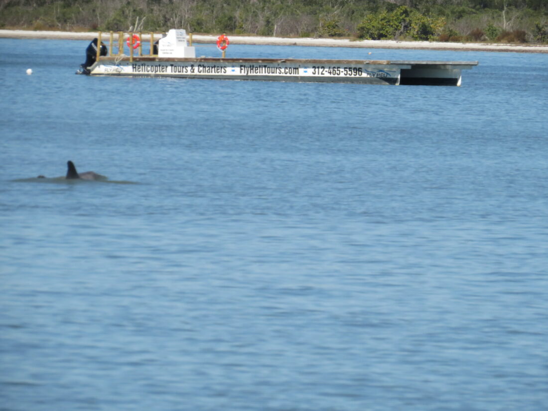 Fly Heli Tours owner makes statement on moving barge to support planned helicopter flights - FORT MYERS