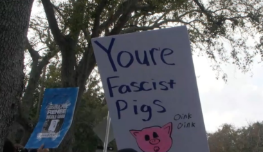 Dozens protest U.S. Customs and Border Patrol recruitment event in St. Petersburg