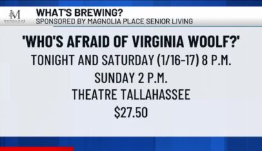 What’s Brewing - ‘Who’s Afraid of Virginia Woolf’