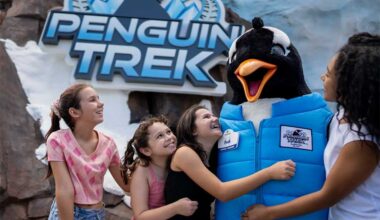SeaWorld Orlando Kicks Off Just for Kids Weekend This Saturday and Sunday With Family Fun Across the Park