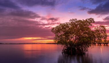 55+ Homes for Sale in Port Saint Lucie