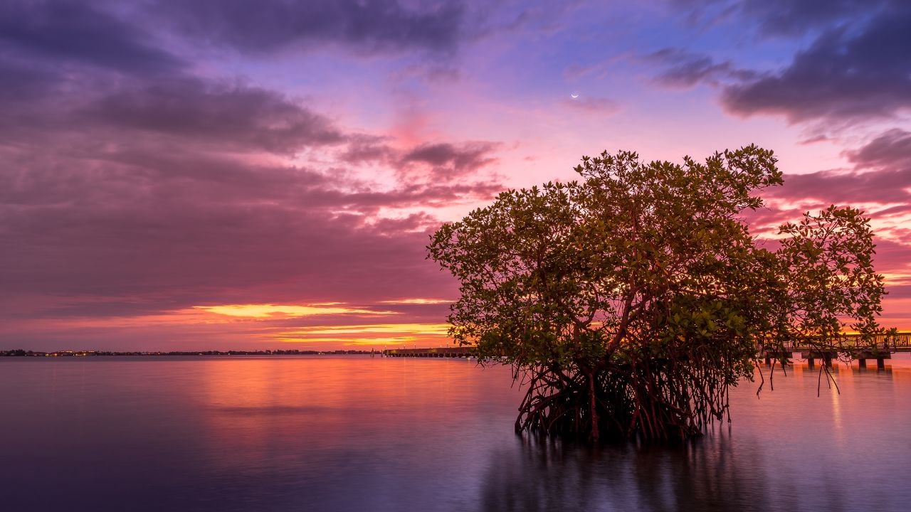 55+ Homes for Sale in Port Saint Lucie