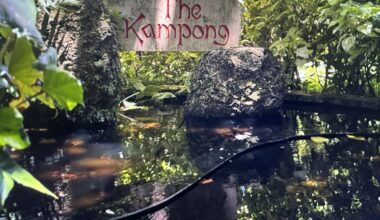 South Florida's hidden tropical paradise grows thousands of plant species