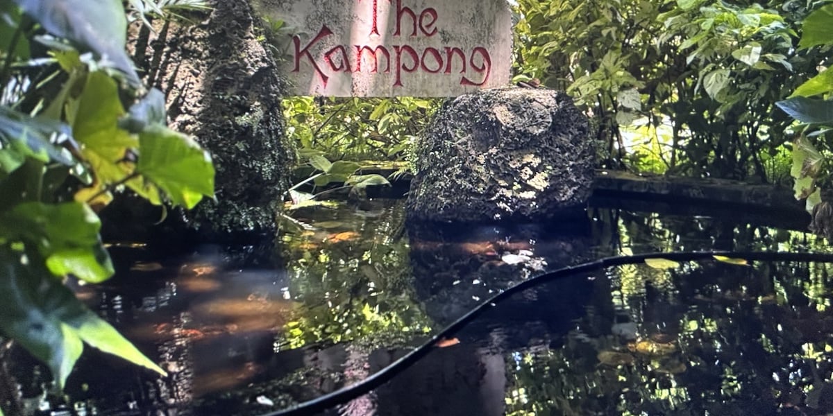 South Florida's hidden tropical paradise grows thousands of plant species