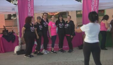 Sea of pink fills Hollywood Broadwalk as survivors, previvors walk for breast cancer awareness
