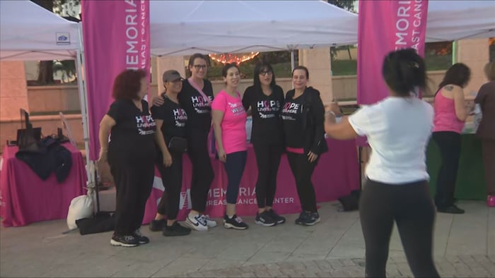 Sea of pink fills Hollywood Broadwalk as survivors, previvors walk for breast cancer awareness