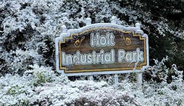 Small part of Sunshine State becomes Snowy State as Florida gets snow for 2nd year in a row