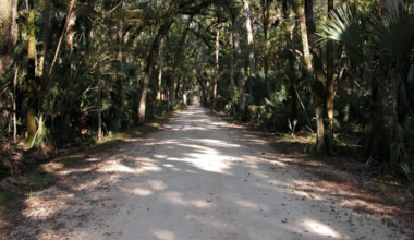 Florida’s oldest highway has vanished. Here’s what’s left of it