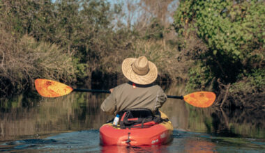 Local escapes for a purposeful new year