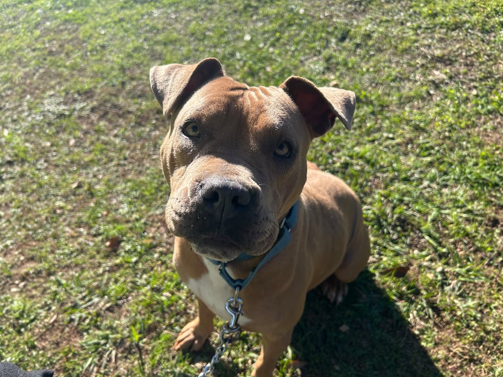 Nellie is determined to get the most out of life and the most out of every excursion!