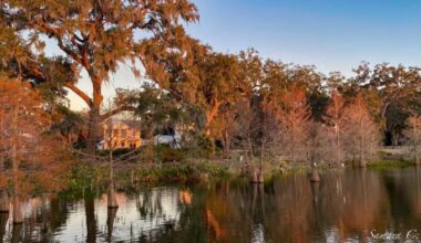 Is winter about to REALLY get started in Central Florida?