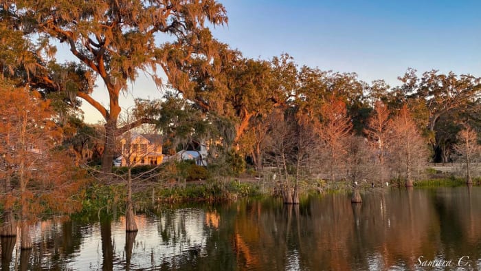 Is winter about to REALLY get started in Central Florida?