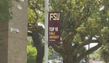 FSU study on political disagreement shows rising stress, increasing pessimism 