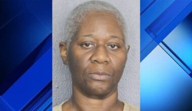 Woman faces DUI manslaughter charges in deadly Davie crash