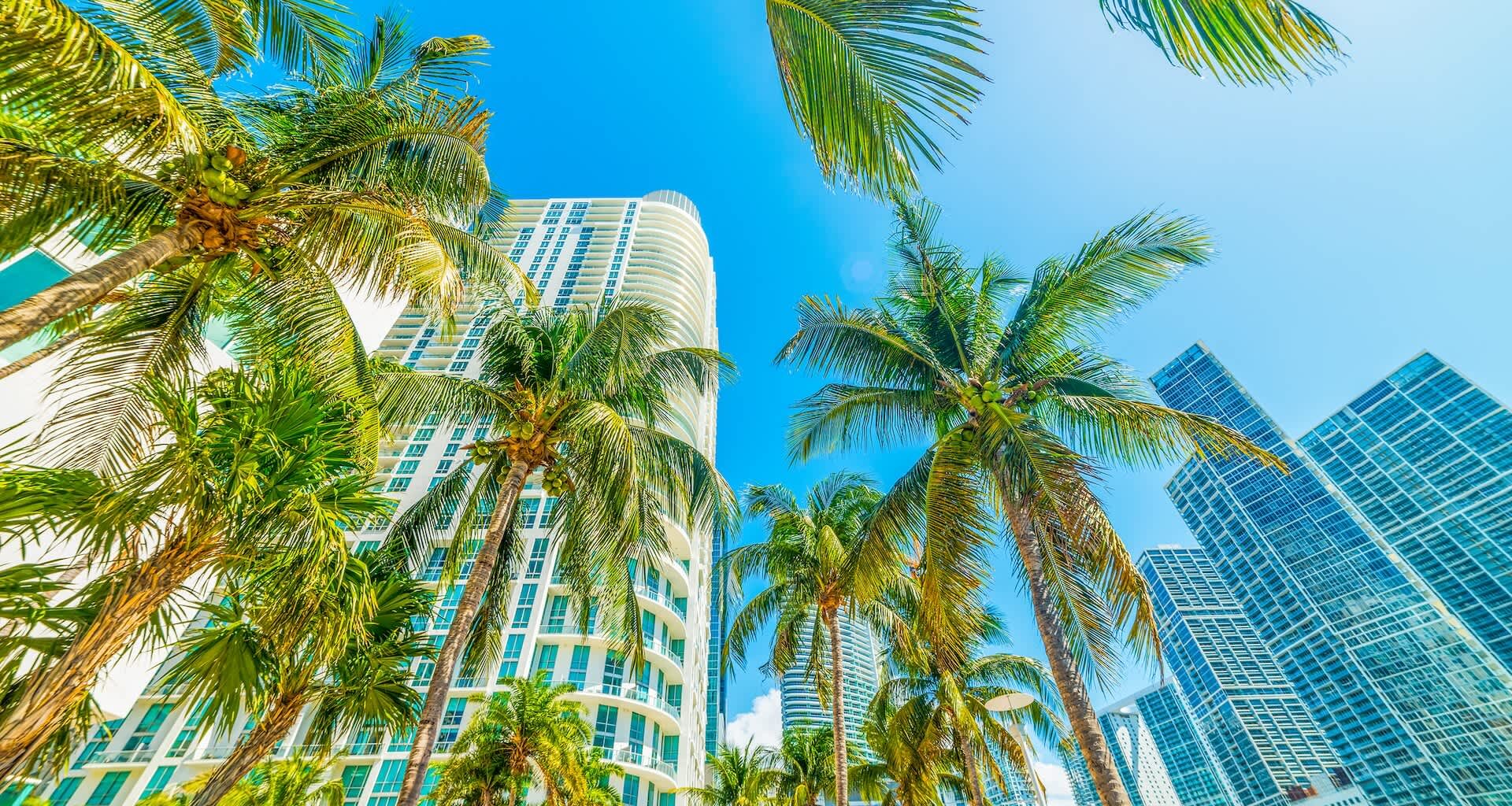 Luxury high-rise towers along Miami's barrier islands are sinking much faster than engineers predicted, with some buildings settling two to three times beyond original estimates.