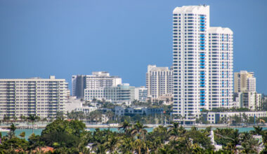 a shot of Miami's skyline with tropical trees in the foreground