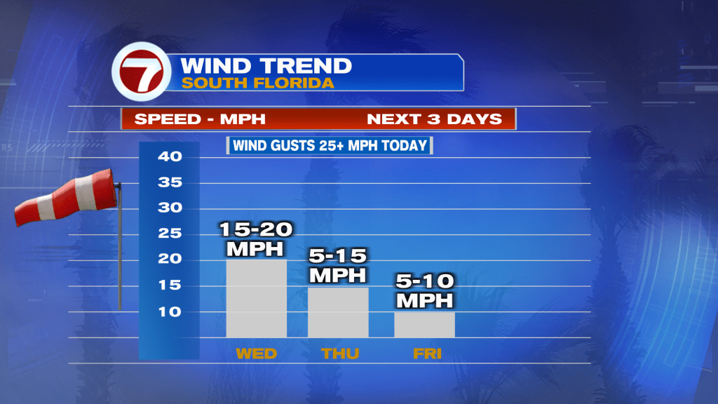 Windy Wednesday - WSVN 7News | Miami News, Weather, Sports