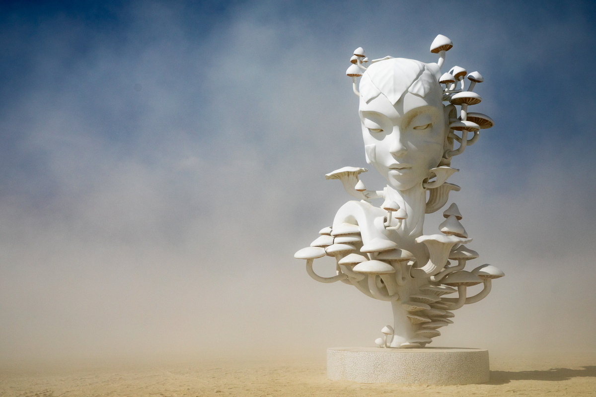 Mycelia by Daniel Popper