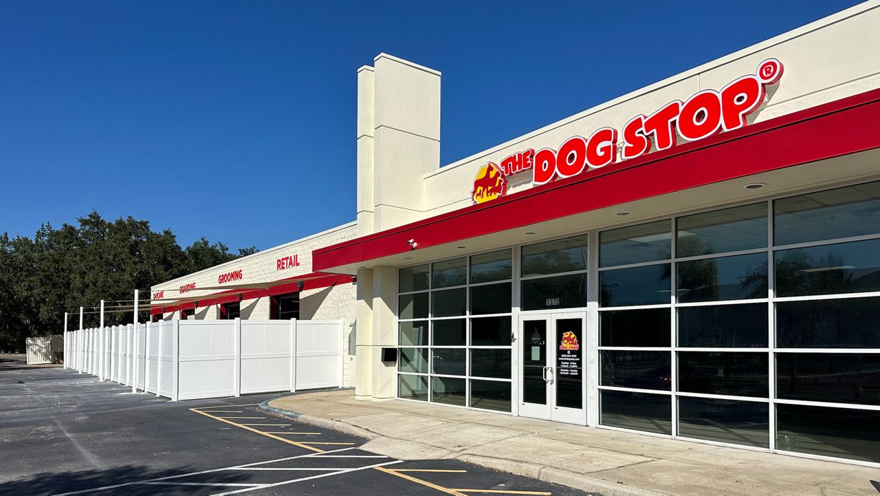 Justin Steiner who owns the Dog Stop invested over a million dollars into the old Sears Auto Center. He gutted it into a fully functional doggy daycare, boarding, grooming, and retail shop. (Spectrum News/Asher Wildman)