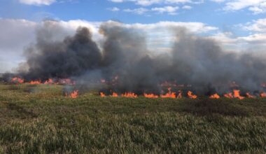 Prescribed burn file photo