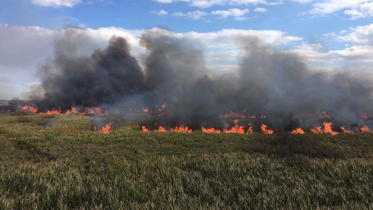 Prescribed burn file photo