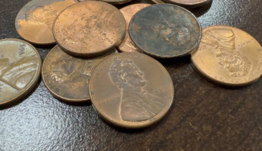 Florida lawmakers prepare for penniless economy with rounding bill