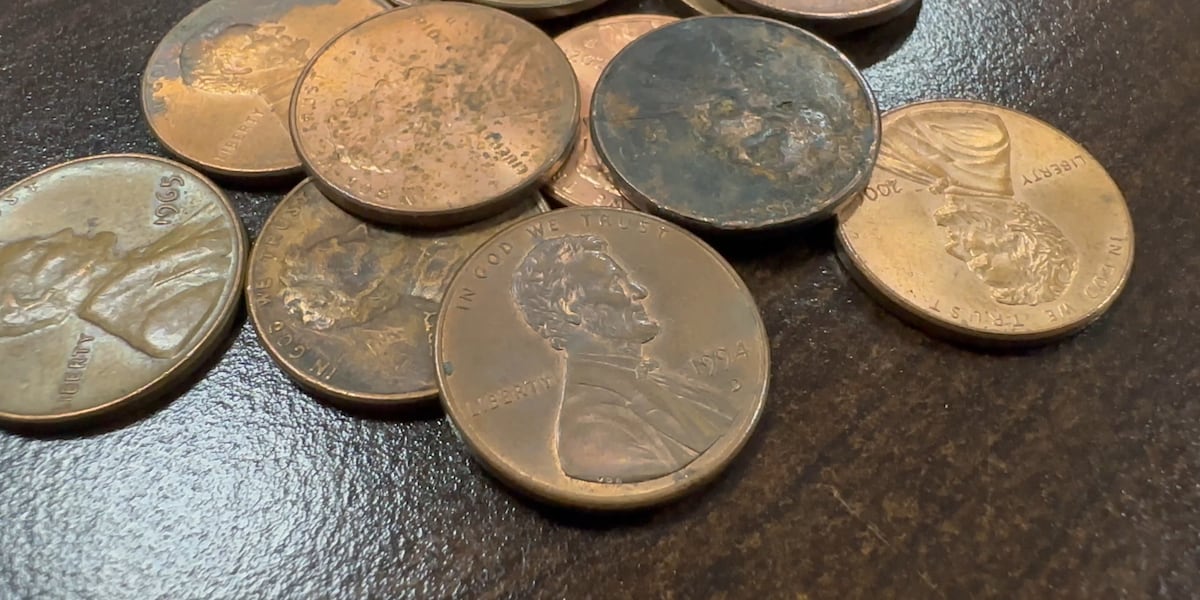 Florida lawmakers prepare for penniless economy with rounding bill