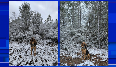 Florida sees snow for the second year in a row